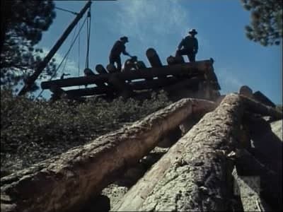 Still from The Quest
