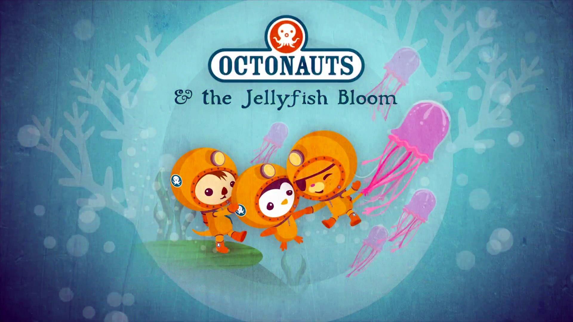 Still from The Jellyfish Bloom