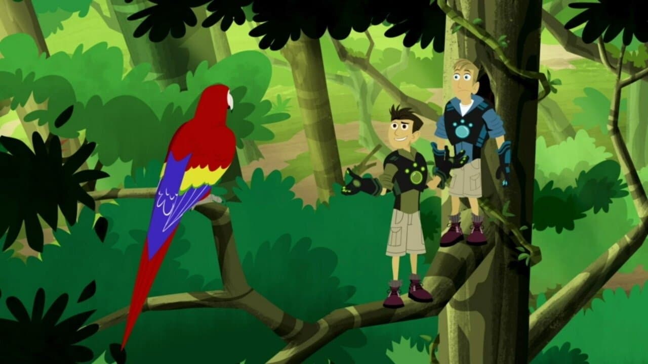 Still from Parrot Power