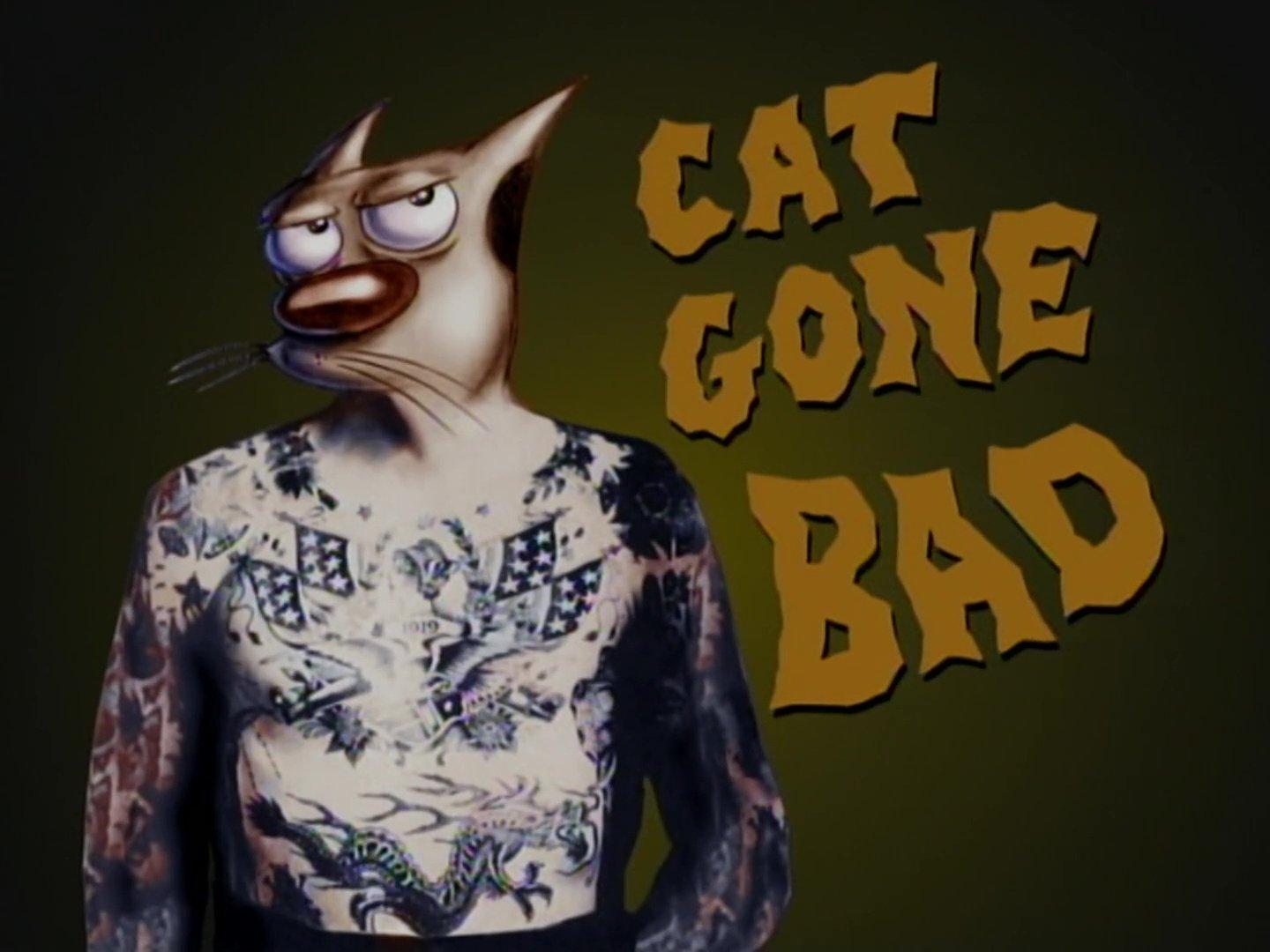 Still from Cat Gone Bad