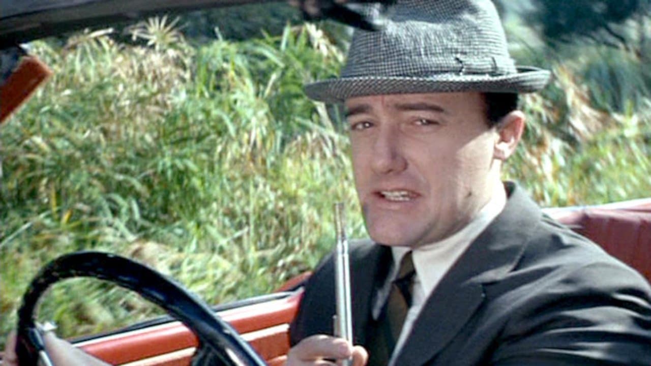 Still from The Bridge of Lions Affair (1)