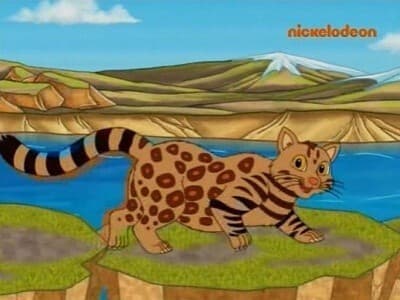 Still from Pampas Cat & Friends Help the Rescue Center
