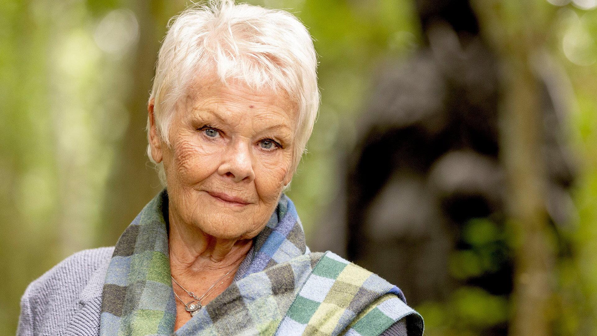 Still from Dame Judi Dench