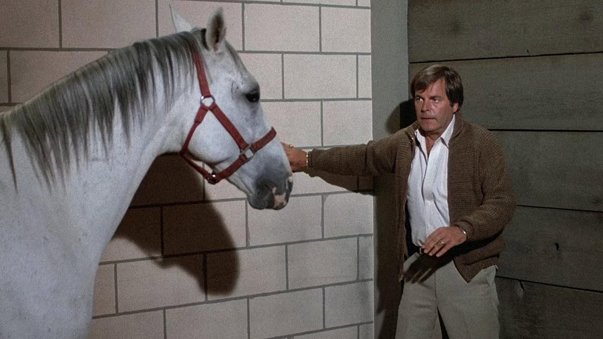 Still from Hartbreak Kid
