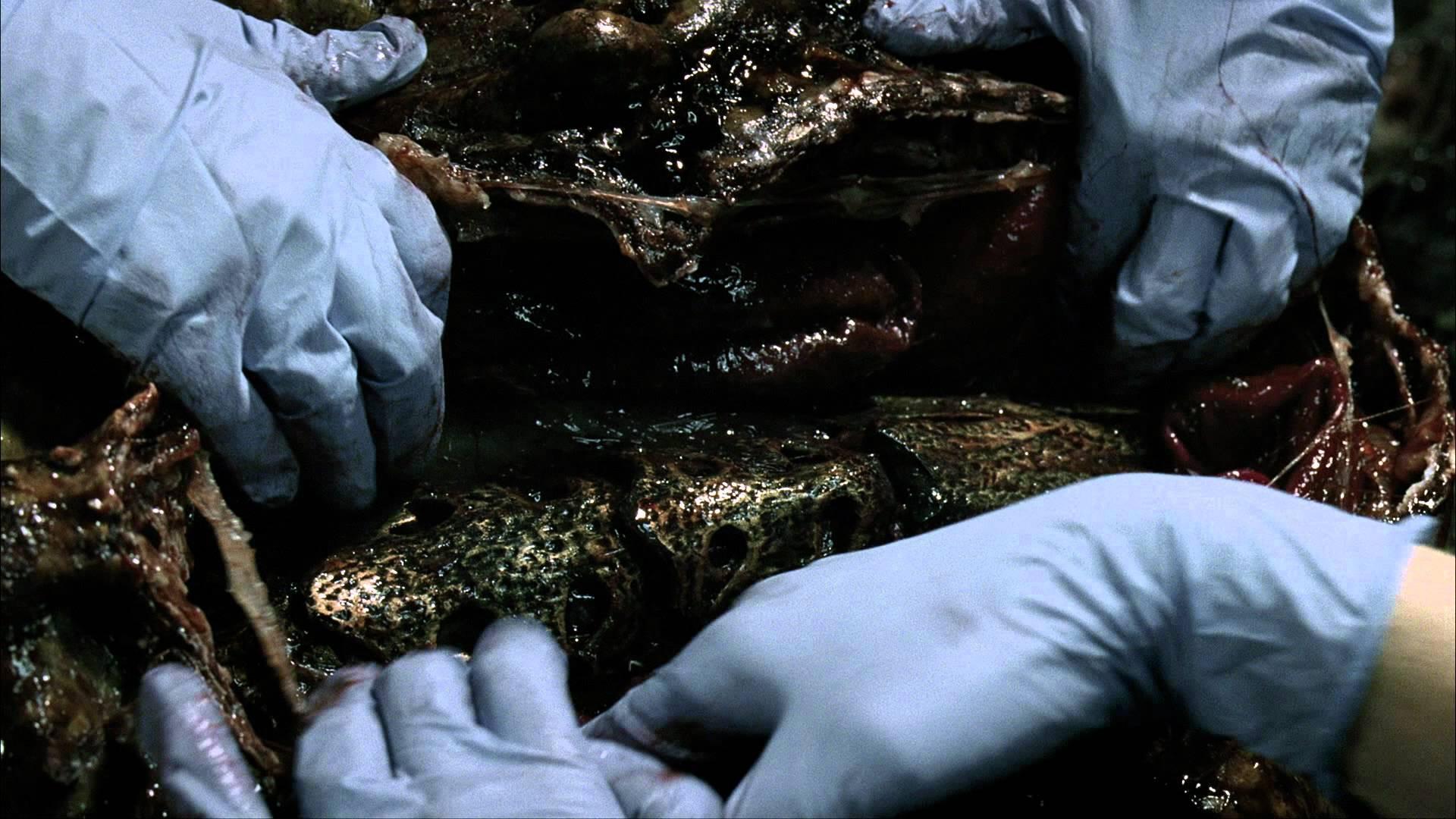 Still from What Hides Beneath