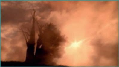 Still from Methuselah Tree
