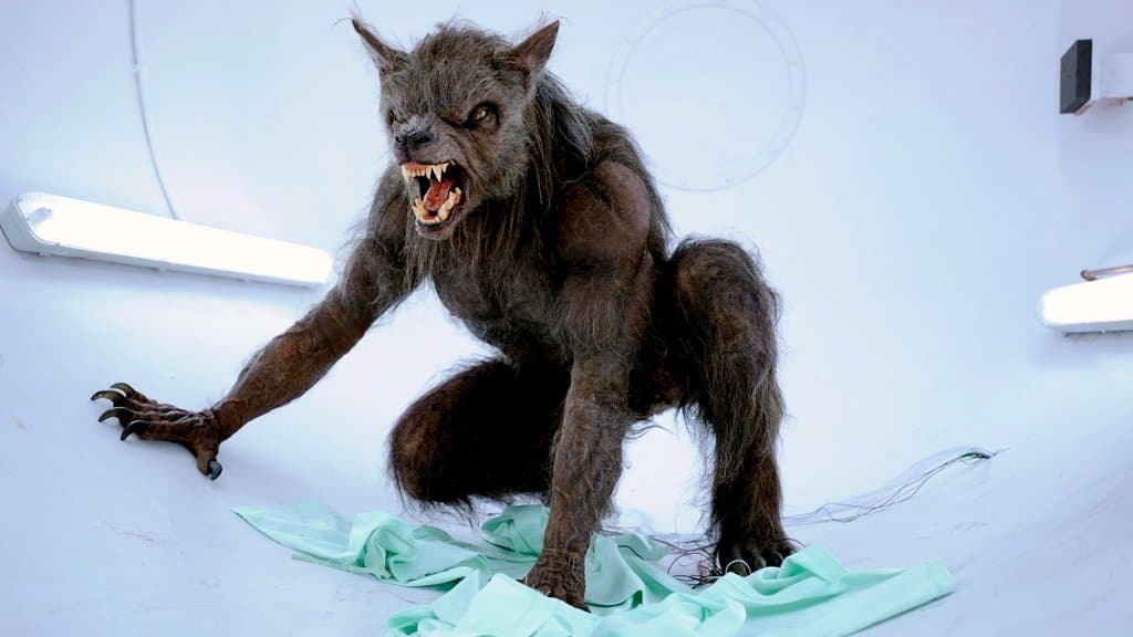 Still from Educating Creature
