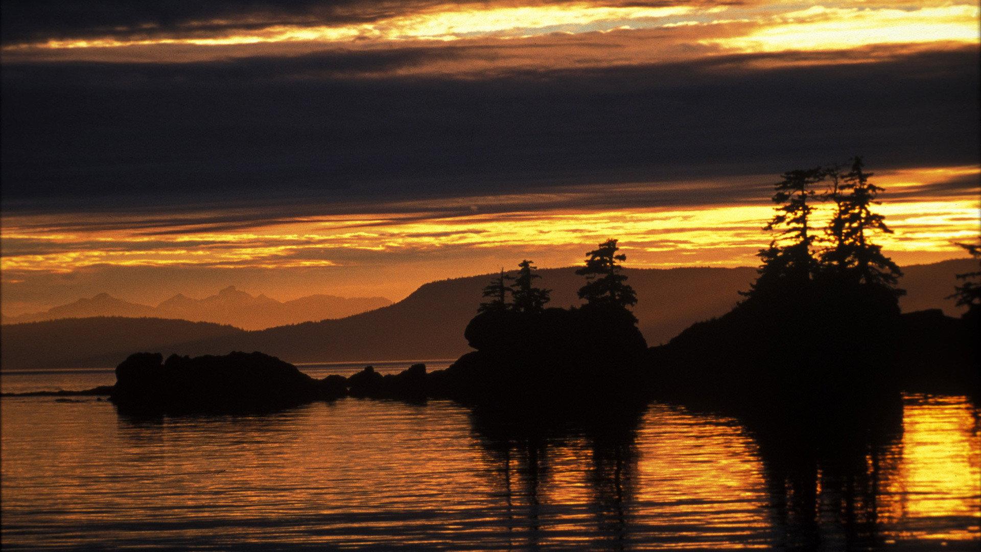 Still from A Mystery in Alaska