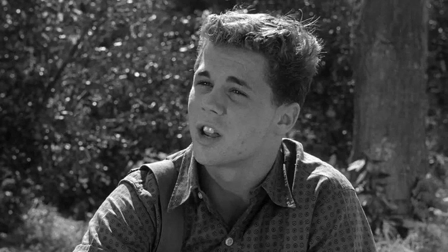 Still from Beaver Becomes a Hero