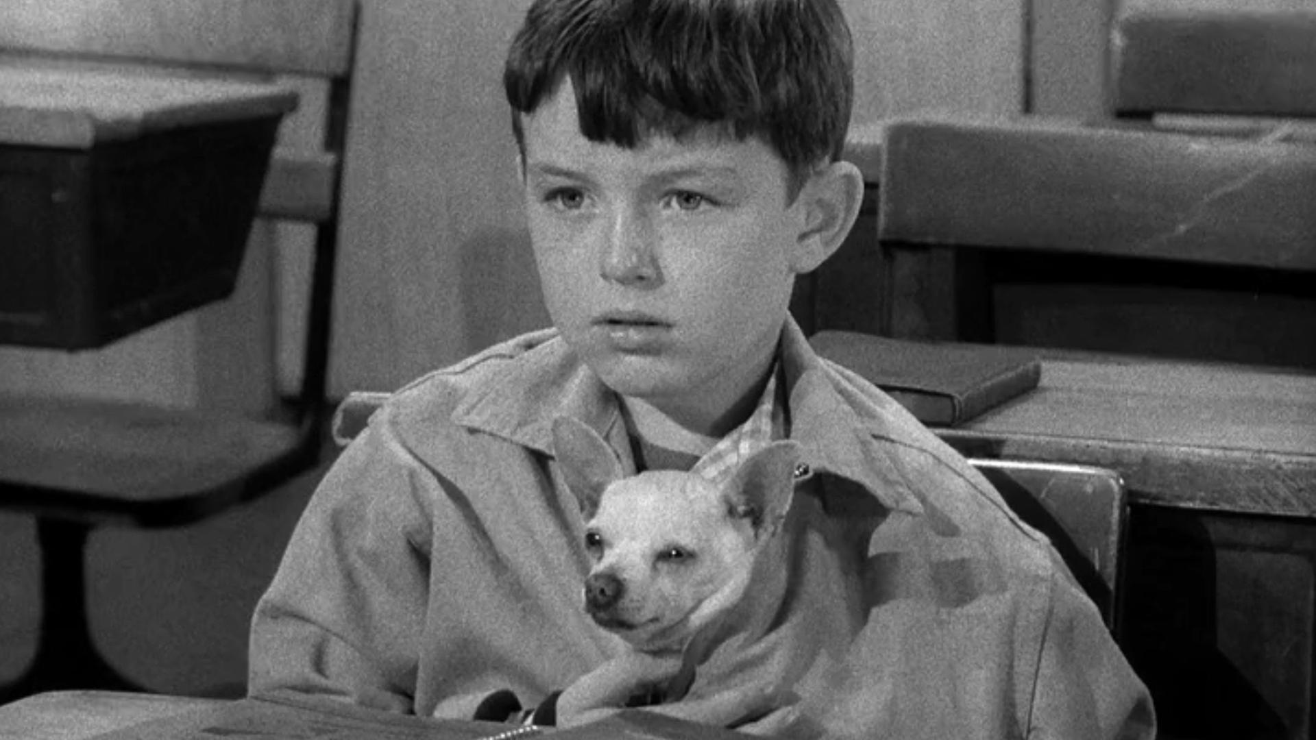 Still from Beaver and Poncho