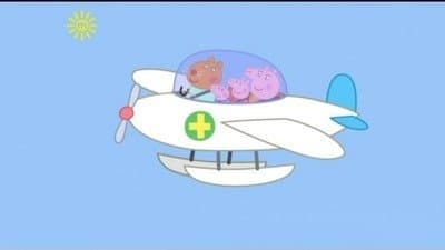 Still from The Flying Vet