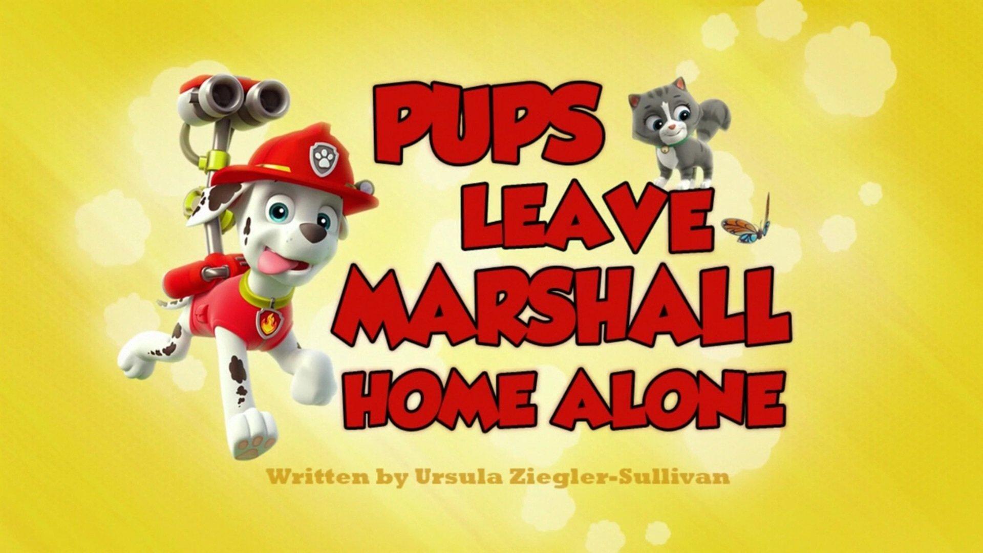 Still from Pups Leave Marshall Home Alone