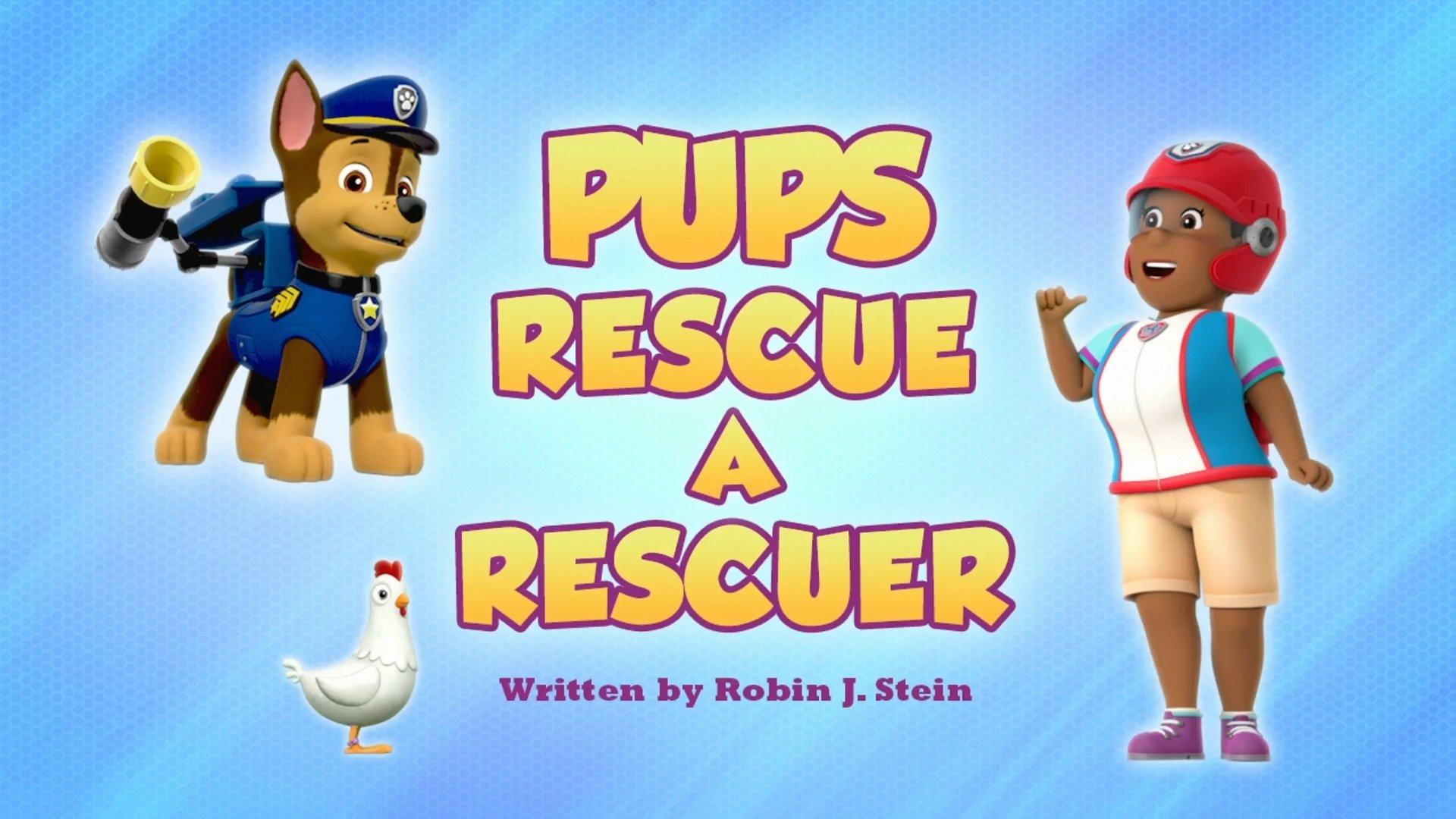 Still from Pups Rescue a Rescuer