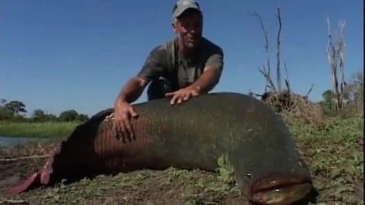 Still from The Lost Reels – Amazonian Giant