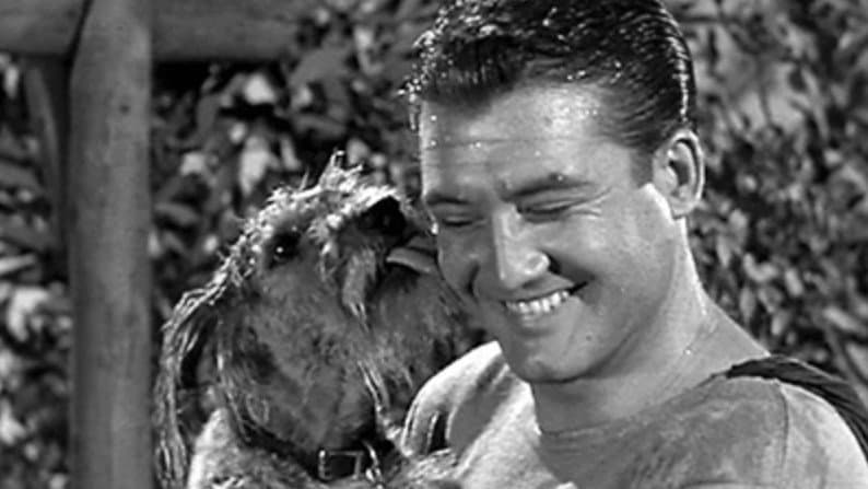 Still from The Dog Who Knew Superman