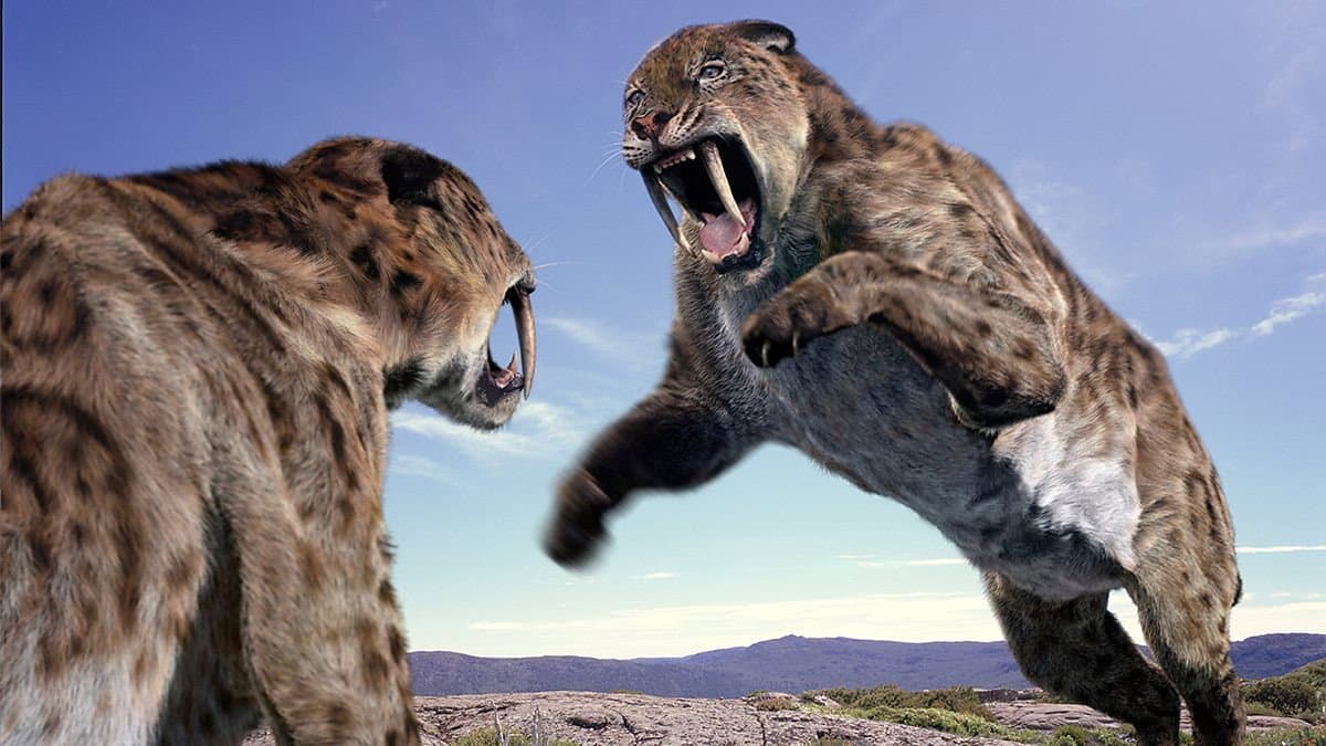 Still from The Beasts Within
