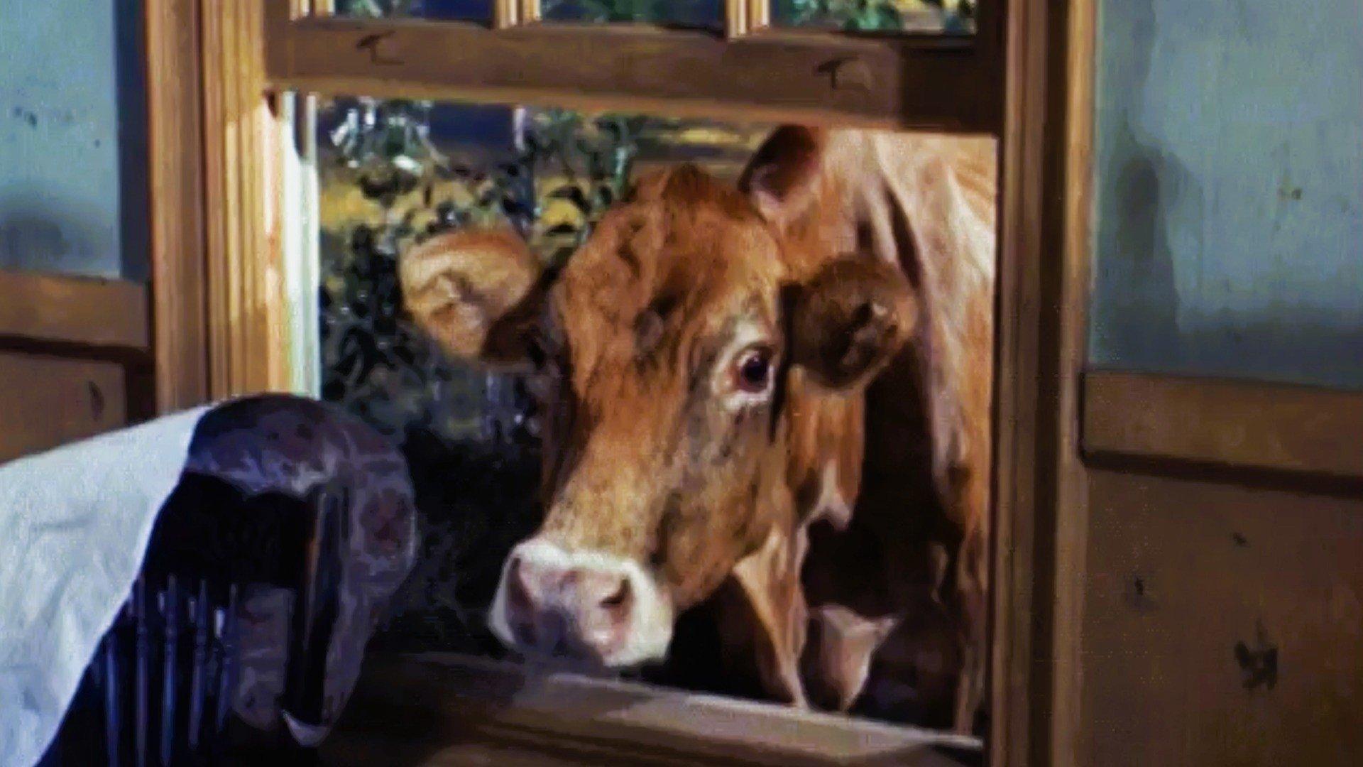 Still from The Best Laid Plans