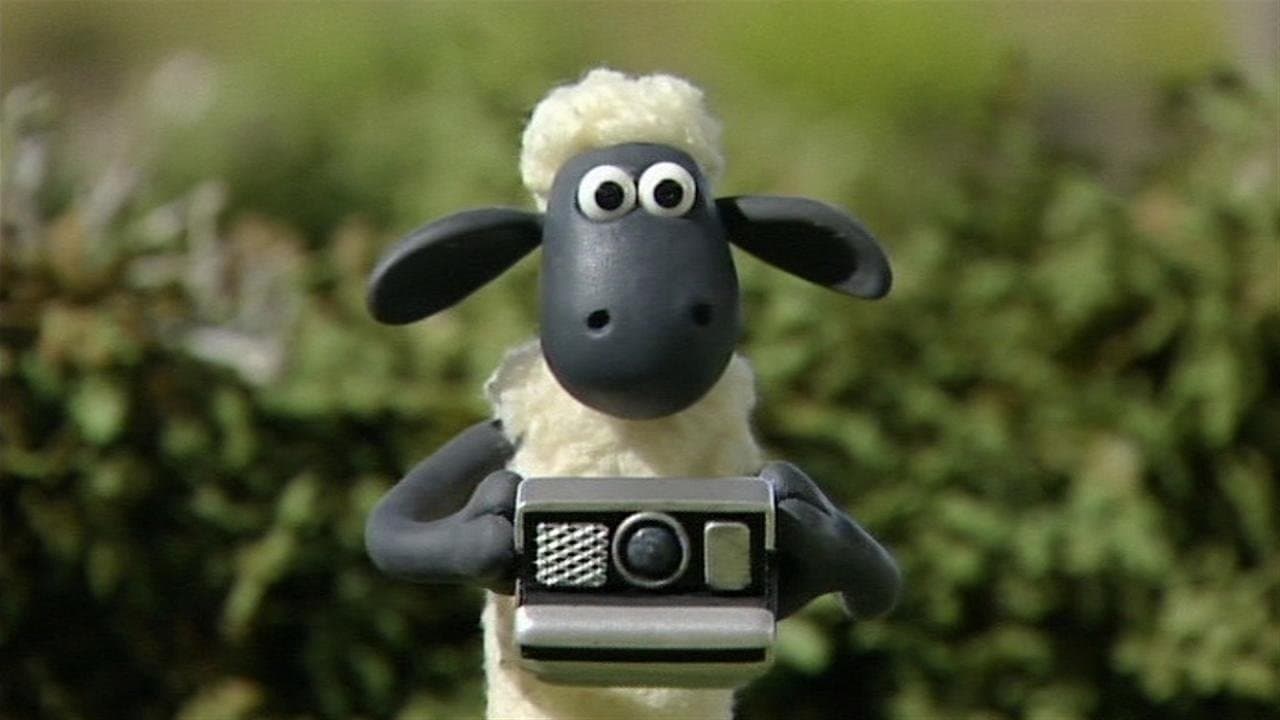Still from Shaun Shoots the Sheep