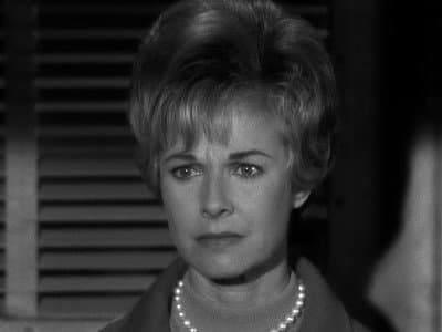 Still from The Case of the Twelfth Wildcat
