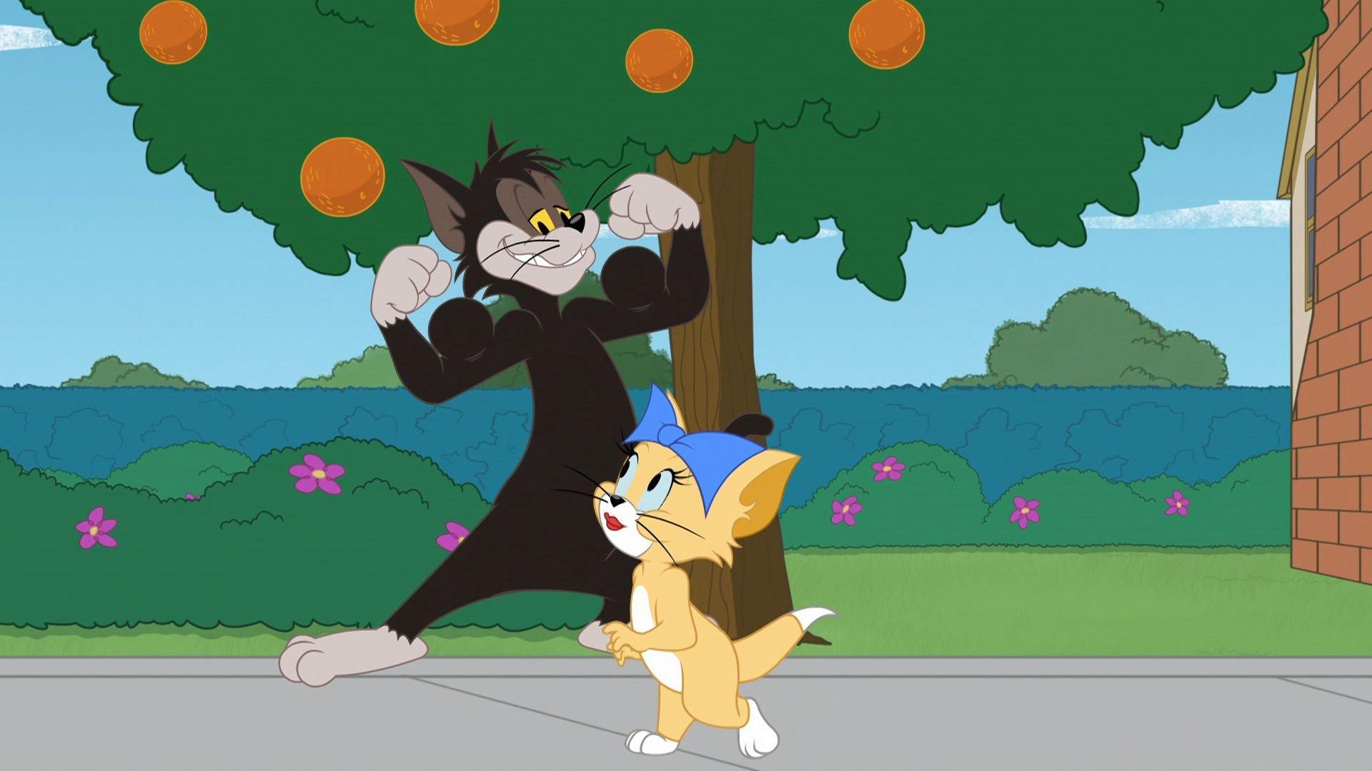 Still from Cat Match Fever