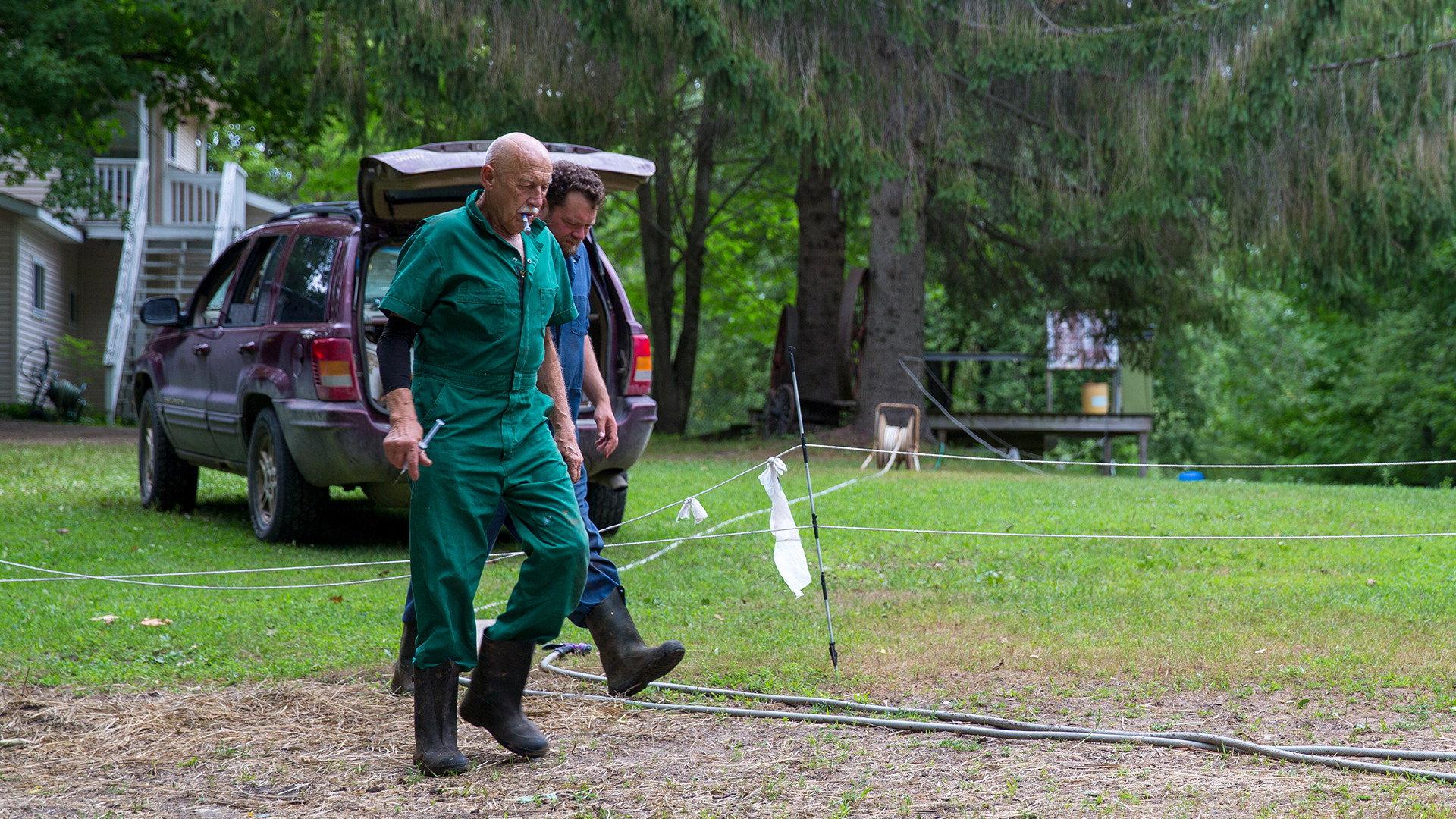 Still from Dramatic Paws