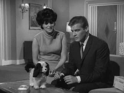 Still from The Man Who Liked Toys