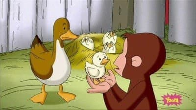 Still from A Monkey's Duckling