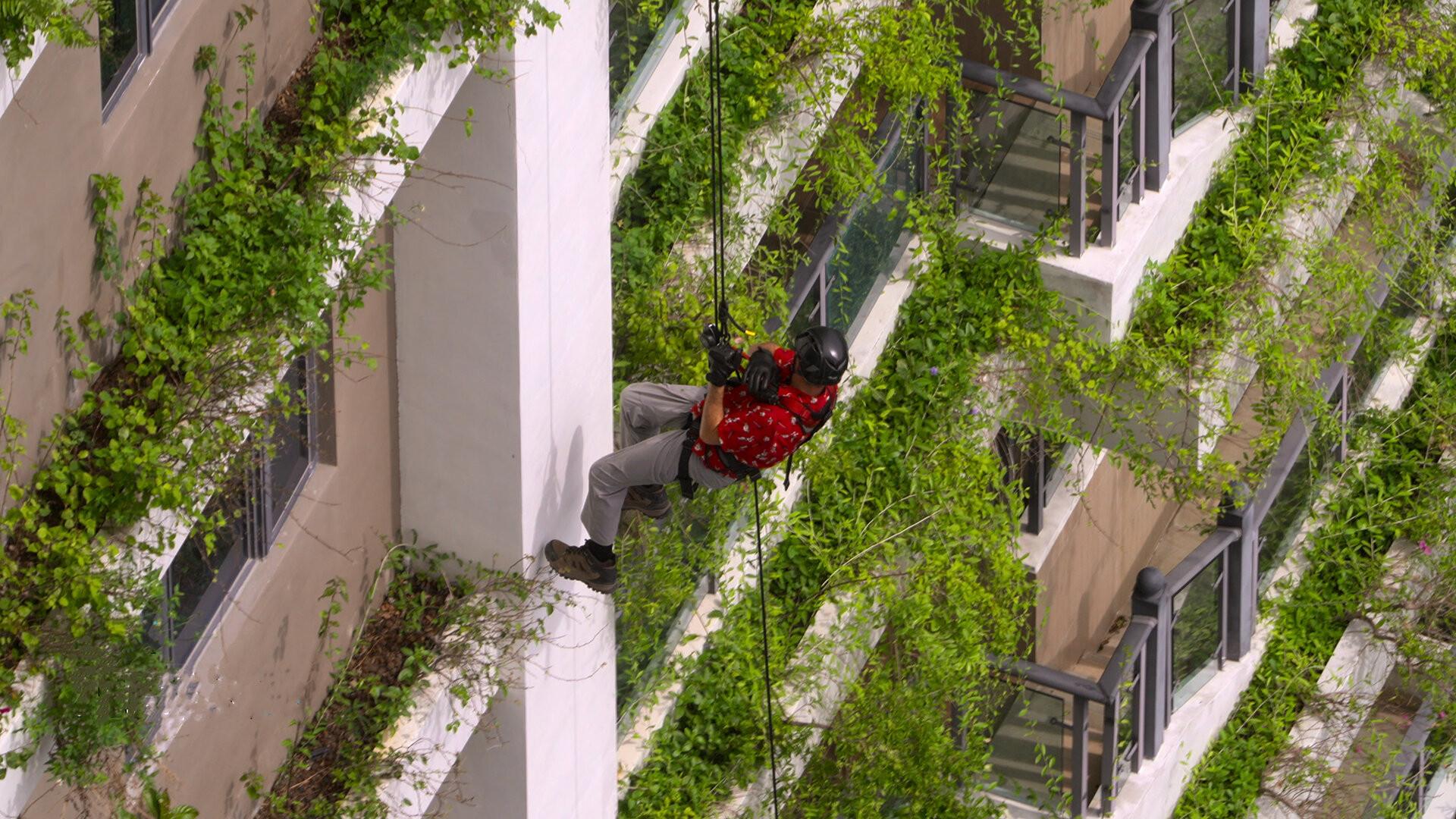 Still from Money Tower