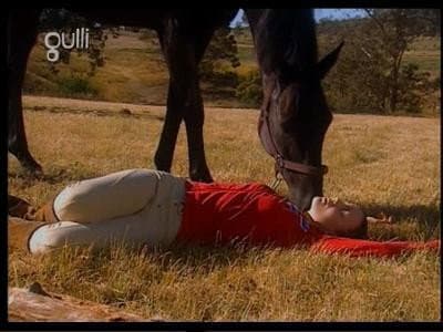 Still from Foster Horse (2)