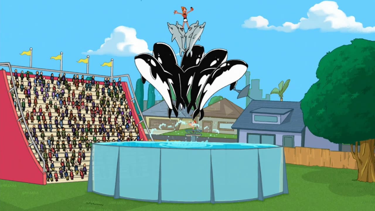 Still from Backyard Aquarium