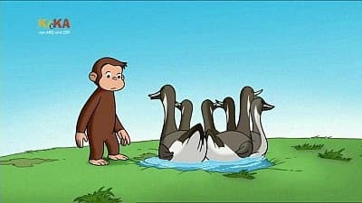 Still from Water to Ducks