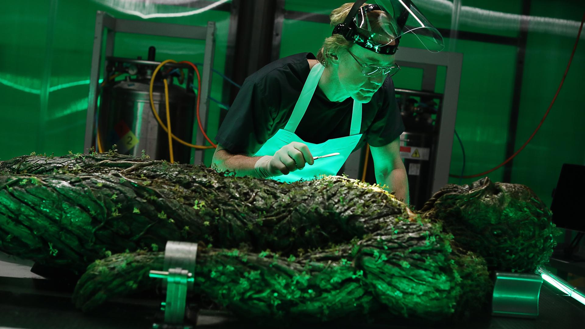 Still from The Anatomy Lesson