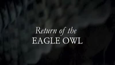 Still from Return Of The Eagle Owl