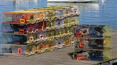 Still from Lobsters, Chesterfield Sofas, 4K Television