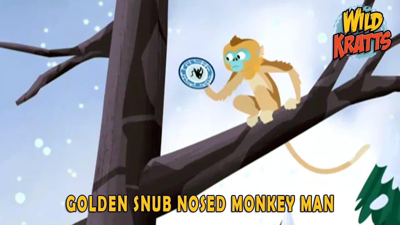 Still from Golden Snub Nosed Monkey Man