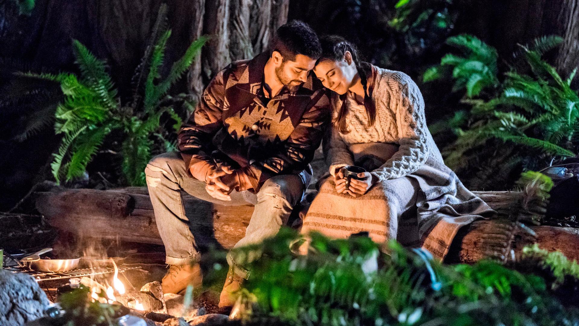 Still from Forest Through the Trees