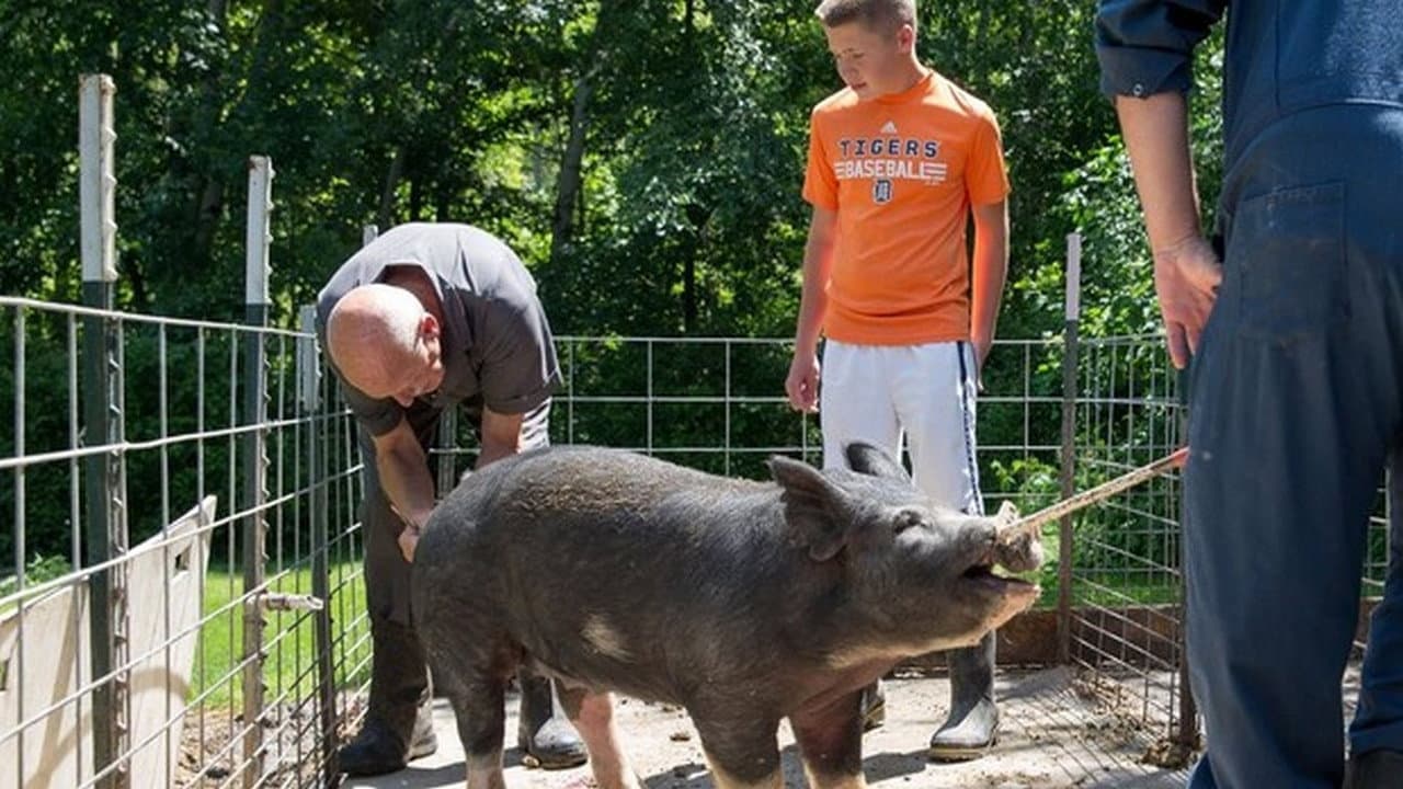 Still from My Fair Piggy