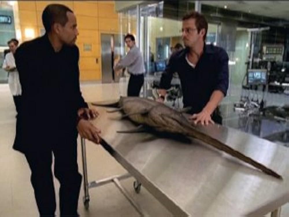 Still from Dancing With The Fishes