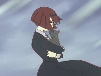 Still from Missing Cat