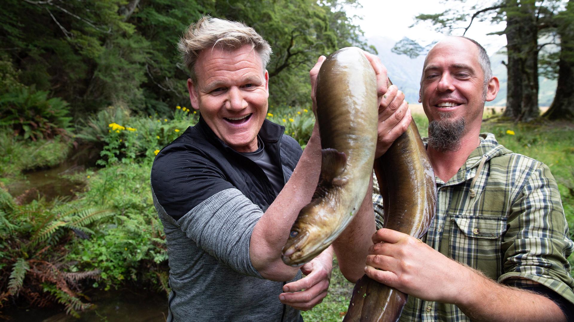 Still from New Zealand's Rugged South