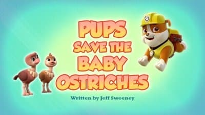 Still from Pups Save the Baby Ostriches
