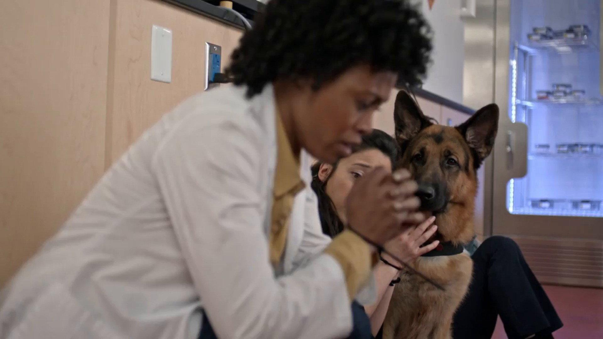Still from Trial and Error