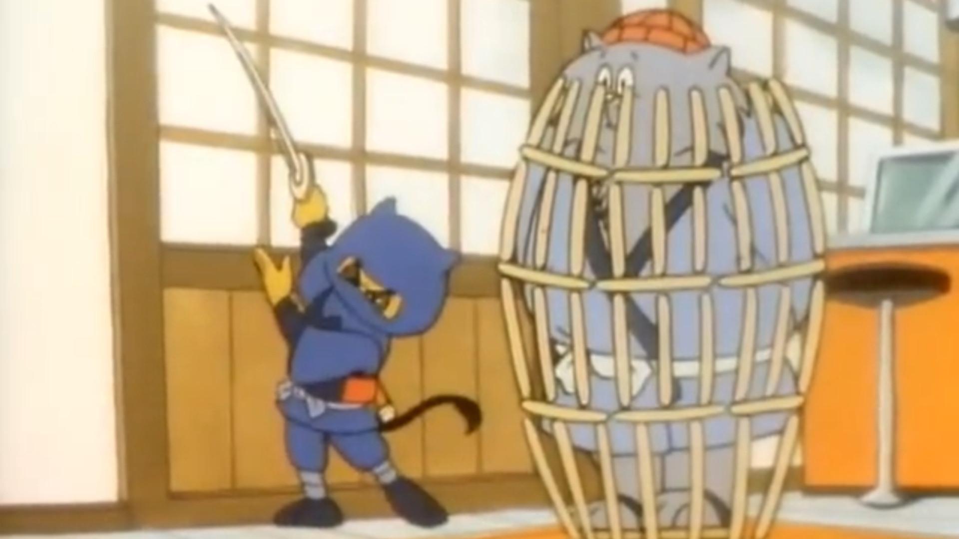 Still from Cat Days, Ninja Nights