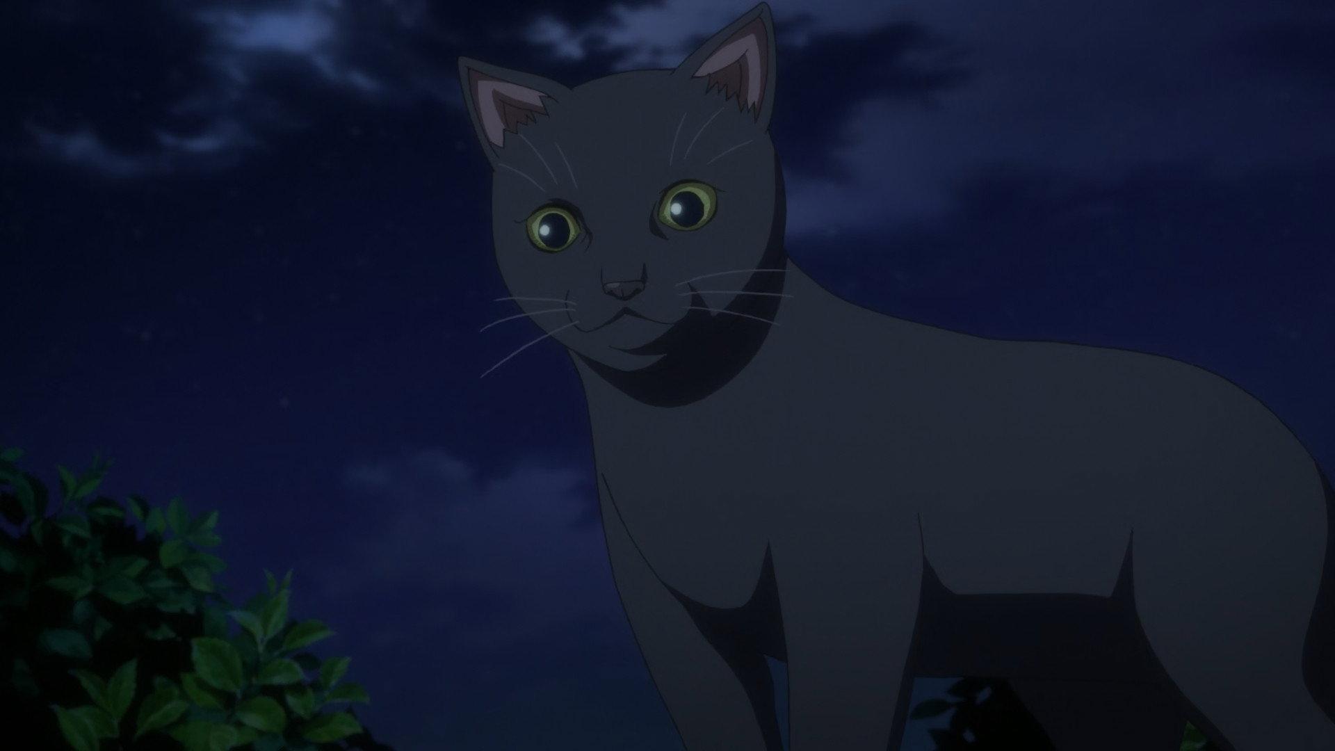 Still from The Black Cat Yoru's Adventure (2)