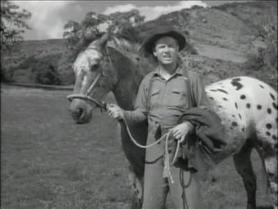 Still from Jeb