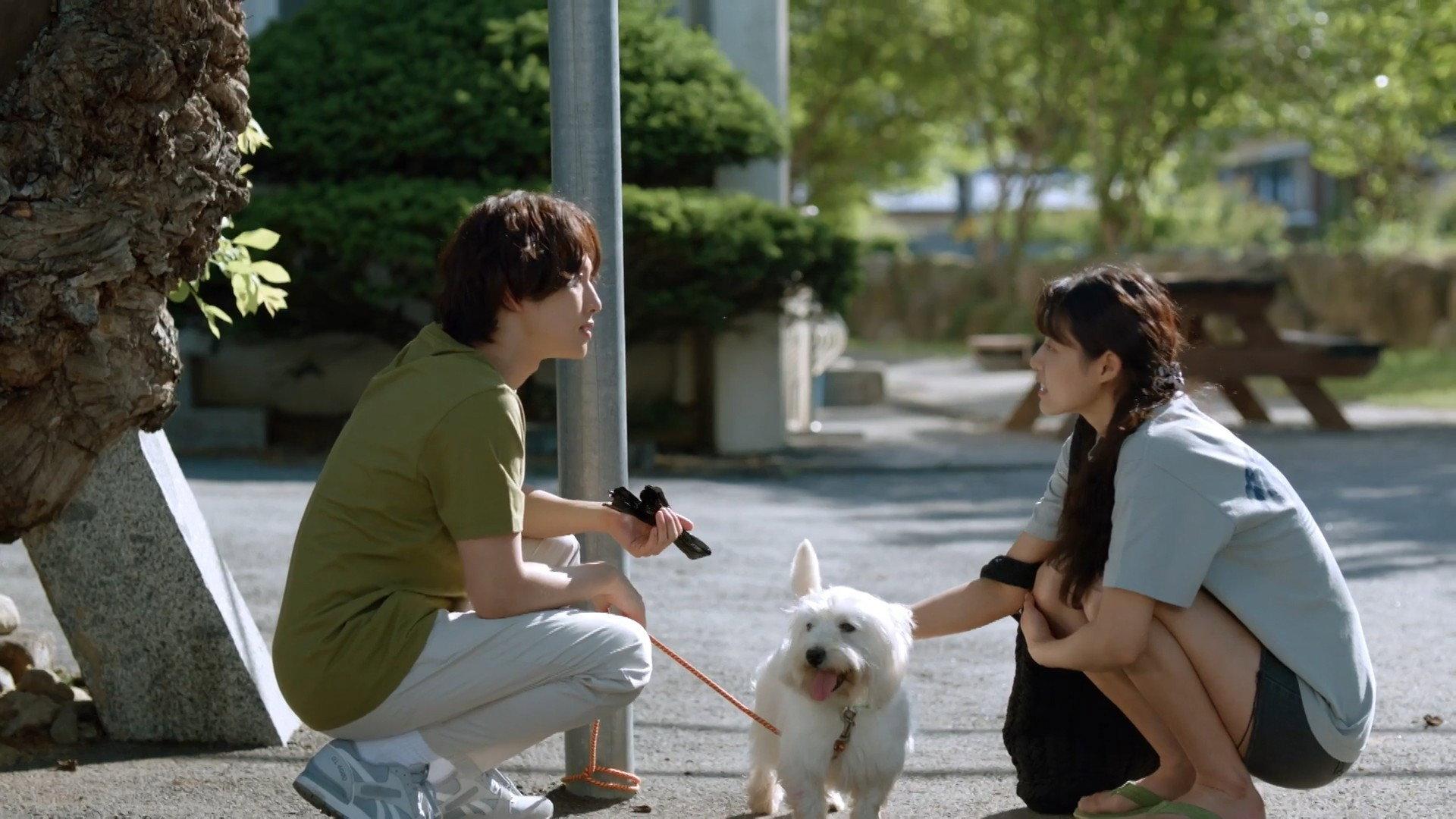 Still from Things That You Realize Only When It's Too Late