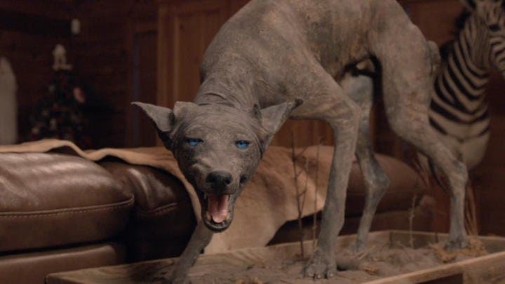 Still from Strange Creatures