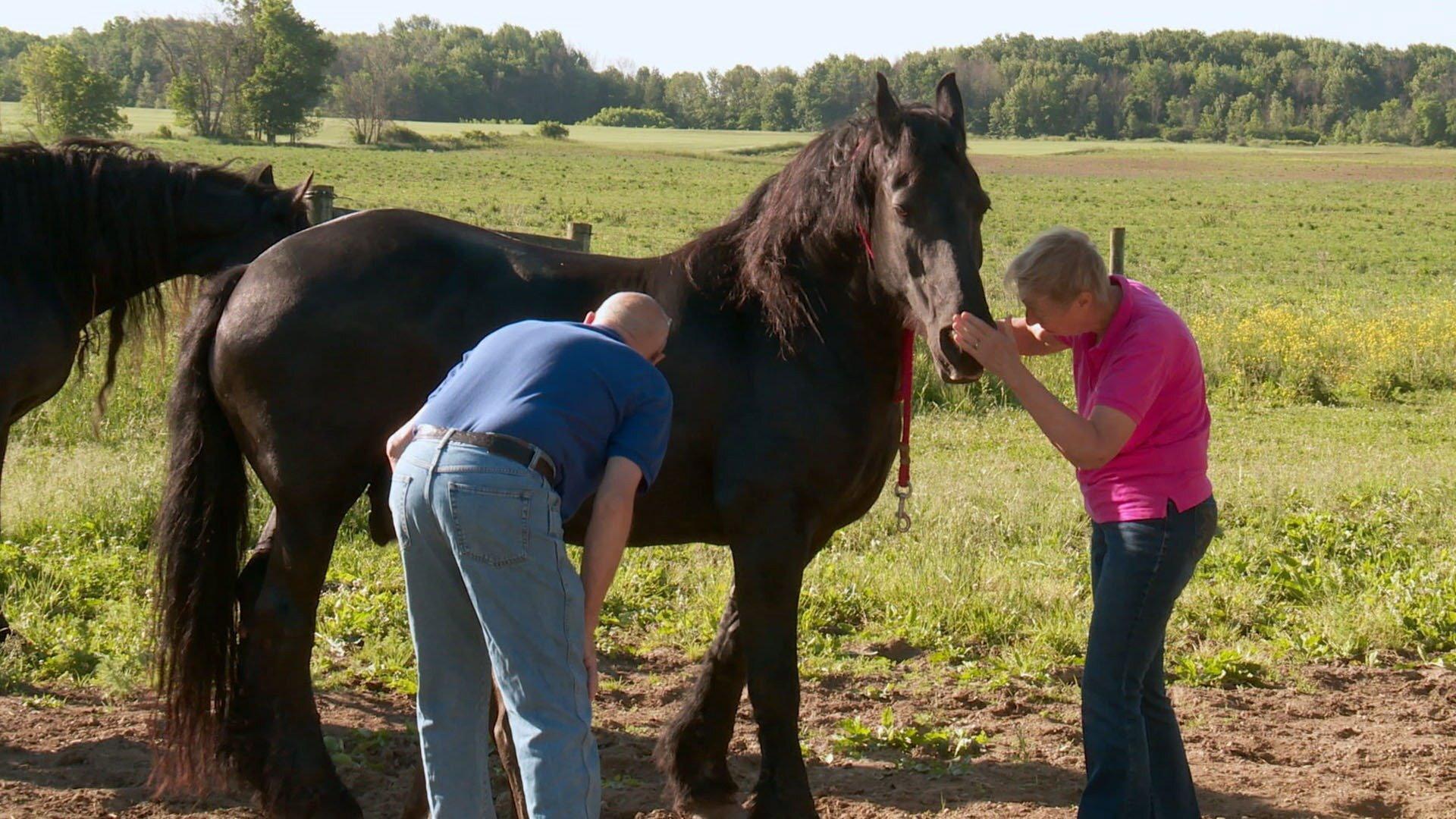 Still from Foaly Moses!