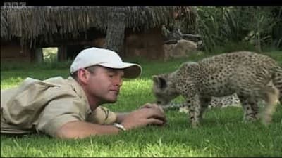 Still from Cheetahs: Fast Track to Freedom