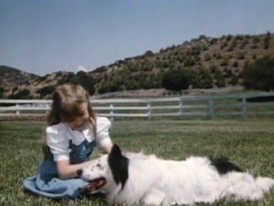 Still from Man's Best Friend (1)